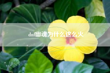 dnf幽魂为什么这么火