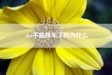 dnf不能跳车了吗为什么