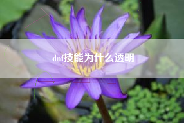 dnf技能为什么透明