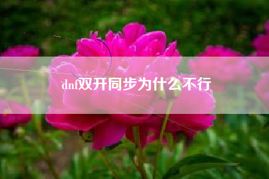 dnf双开同步为什么不行