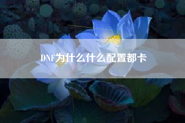 DNF为什么什么配置都卡