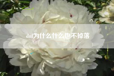 dnf为什么什么也不掉落