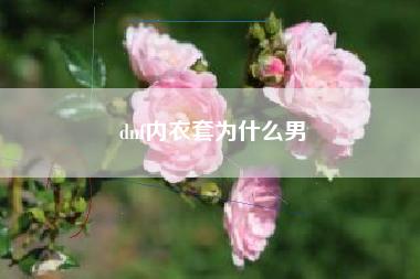 dnf内衣套为什么男