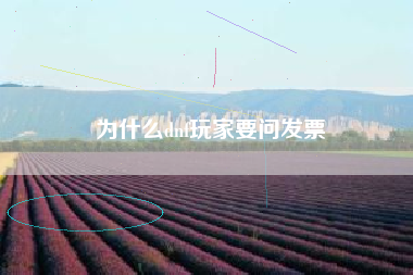 为什么dnf玩家要问发票