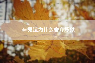 dnf鬼泣为什么舍弃炼狱