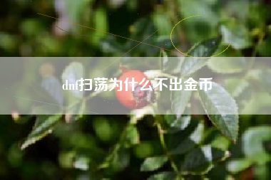 dnf扫荡为什么不出金币