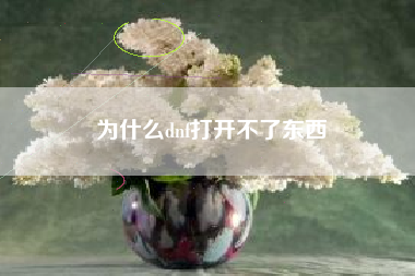 为什么dnf打开不了东西