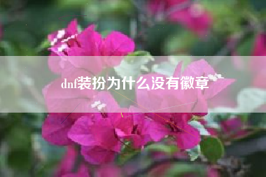 dnf装扮为什么没有徽章