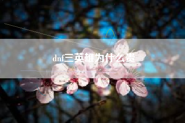 dnf三英雄为什么贵