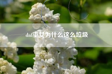 dnf巫女为什么这么垃圾