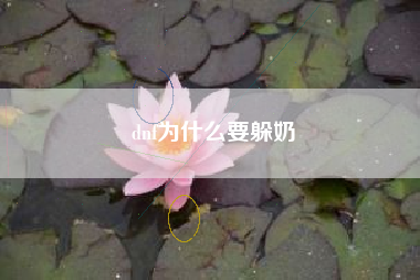 dnf为什么要躲奶