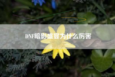 DNF暗影盛宴为什么厉害