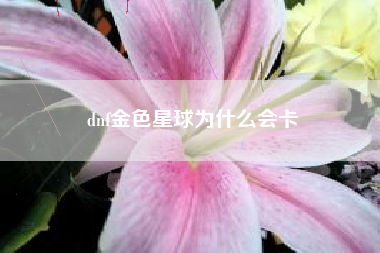 dnf金色星球为什么会卡