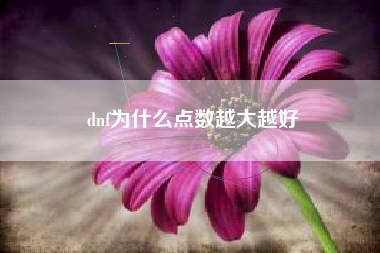 dnf为什么点数越大越好