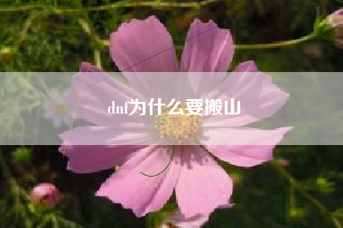 dnf为什么要搬山