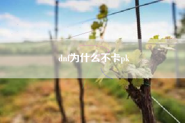 dnf为什么不卡pk