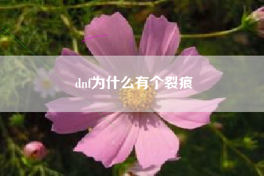 dnf为什么有个裂痕