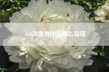 dnf改造为什么那么花钱