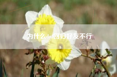 为什么dnf回归好友不行