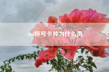 dnf称号卡片为什么贵