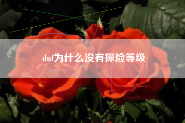 dnf为什么没有探险等级