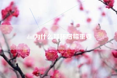 dnf为什么耳环增幅重要