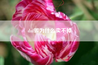 dnf碳为什么卖不掉