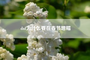 dnf为什么要在春节增幅