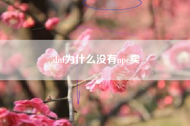 dnf为什么没有npc卖