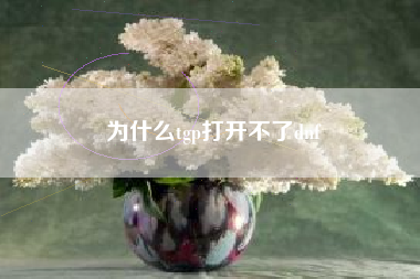 为什么tgp打开不了dnf