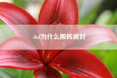 dnf为什么搬砖被封