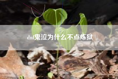 dnf鬼泣为什么不点炼狱