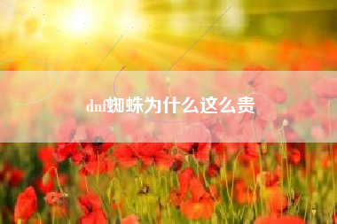 dnf蜘蛛为什么这么贵