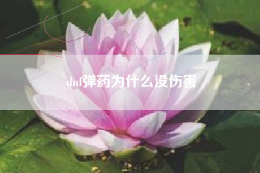 dnf弹药为什么没伤害