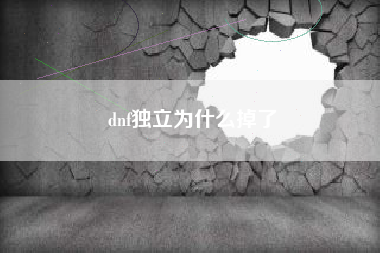 dnf独立为什么掉了