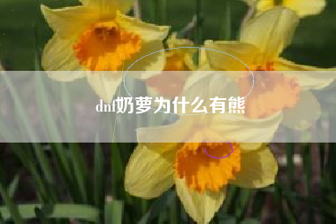 dnf奶萝为什么有熊