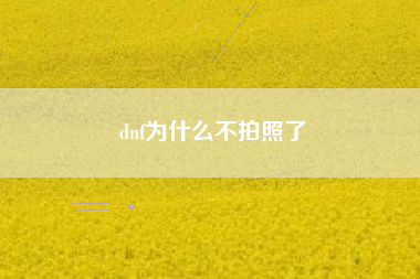 dnf为什么不拍照了