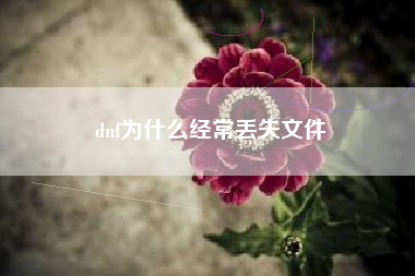 dnf为什么经常丢失文件