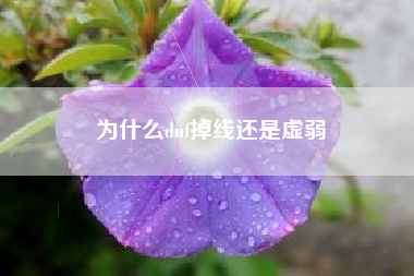 为什么dnf掉线还是虚弱