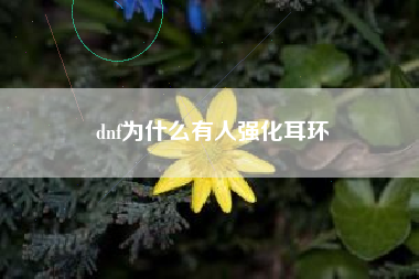 dnf为什么有人强化耳环