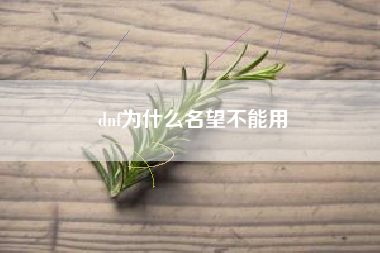 dnf为什么名望不能用