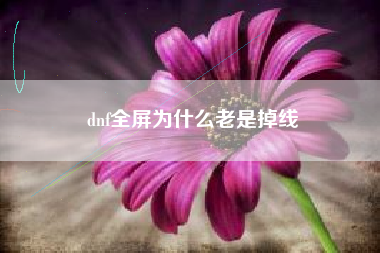 dnf全屏为什么老是掉线