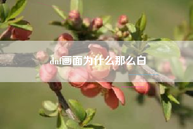 dnf画面为什么那么白