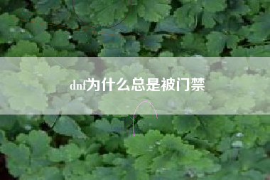 dnf为什么总是被门禁