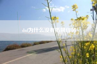 dnf为什么没有盾牌任务