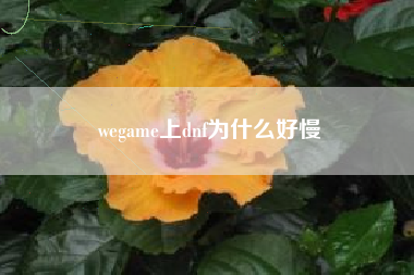 wegame上dnf为什么好慢