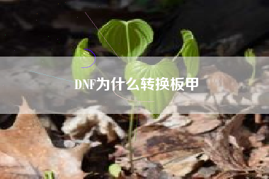 DNF为什么转换板甲