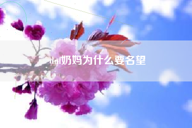 dnf奶妈为什么要名望