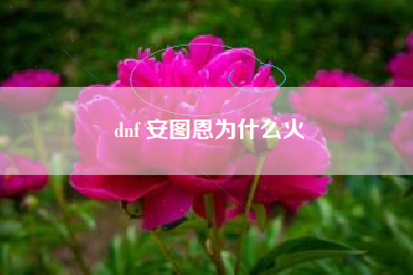 dnf 安图恩为什么火