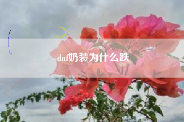 dnf奶装为什么跌